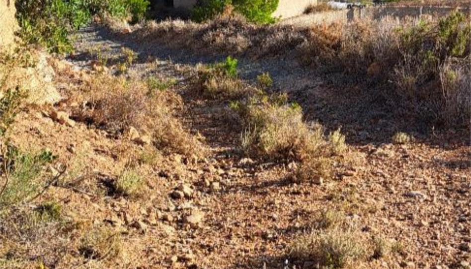 Foto 1 de No Urbanitzable en venda a Gr-5209, 9, Castell de Ferro, Granada