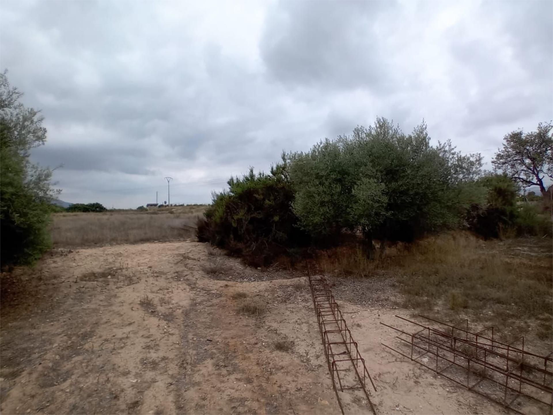 Terreny en venda en Callosa de Segura