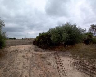 Land for sale in Callosa de Segura