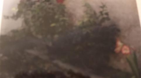 Photo 5 of Single-family semi-detached for sale in Calle Ramón Salvador, 31, Magallón, Zaragoza