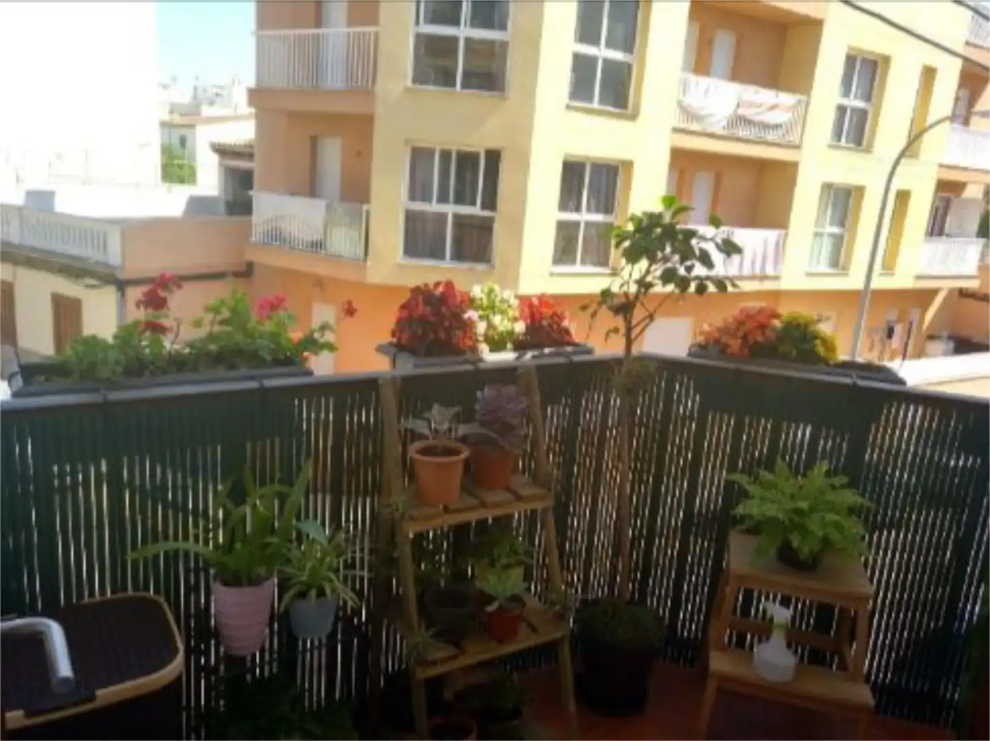 Piso de alquiler en Carrer de la Ventada, 3, Es Portixol - Es Molinar Piso de alquiler en Carrer de la Ventada, 3, Es Portixol - Es Molinar