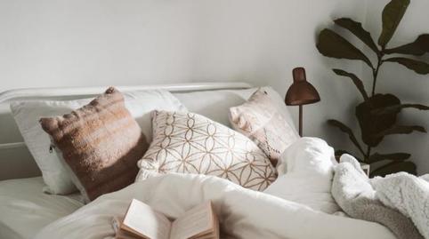 House or chalet to share in Calle Vicente Aleixandre, 28, Centro, Sevilla - image 4 Photo 4 of House or chalet to share in Calle Vicente Aleixandre, 28, Centro, Sevilla