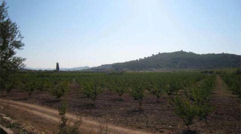 Foto 2 de Terreny industrial en venda a Caravaca de la Cruz, Murcia