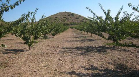 Foto 3 de Terreny industrial en venda a Caravaca de la Cruz, Murcia