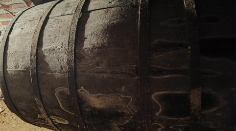 Finca rústica en venta en Calle Carpio, 61, Fuentespina, Burgos - imagen 4 Foto 4 de Finca rústica en venta en Calle Carpio, 61, Fuentespina, Burgos