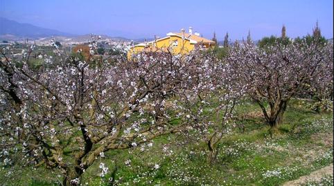 Foto 3 de Pis en venda a Calle Juan Ramón Jiménez, 8a, Cehegín, Murcia