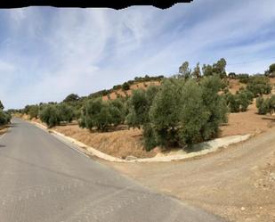 Terreny en venda en Antequera