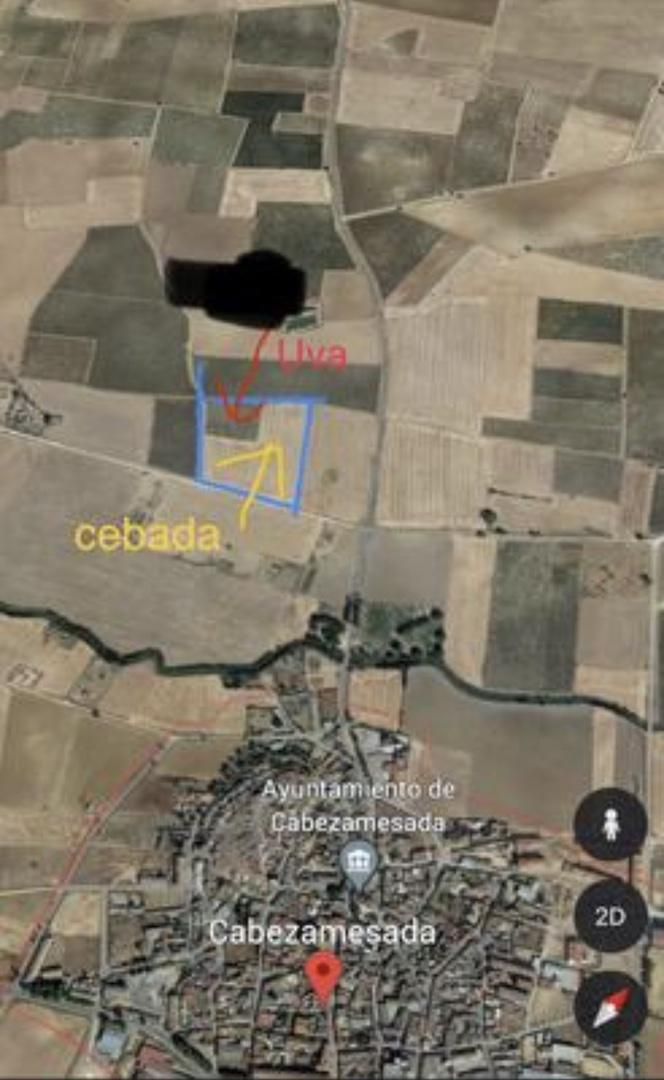 Land for sale in Cabezamesada