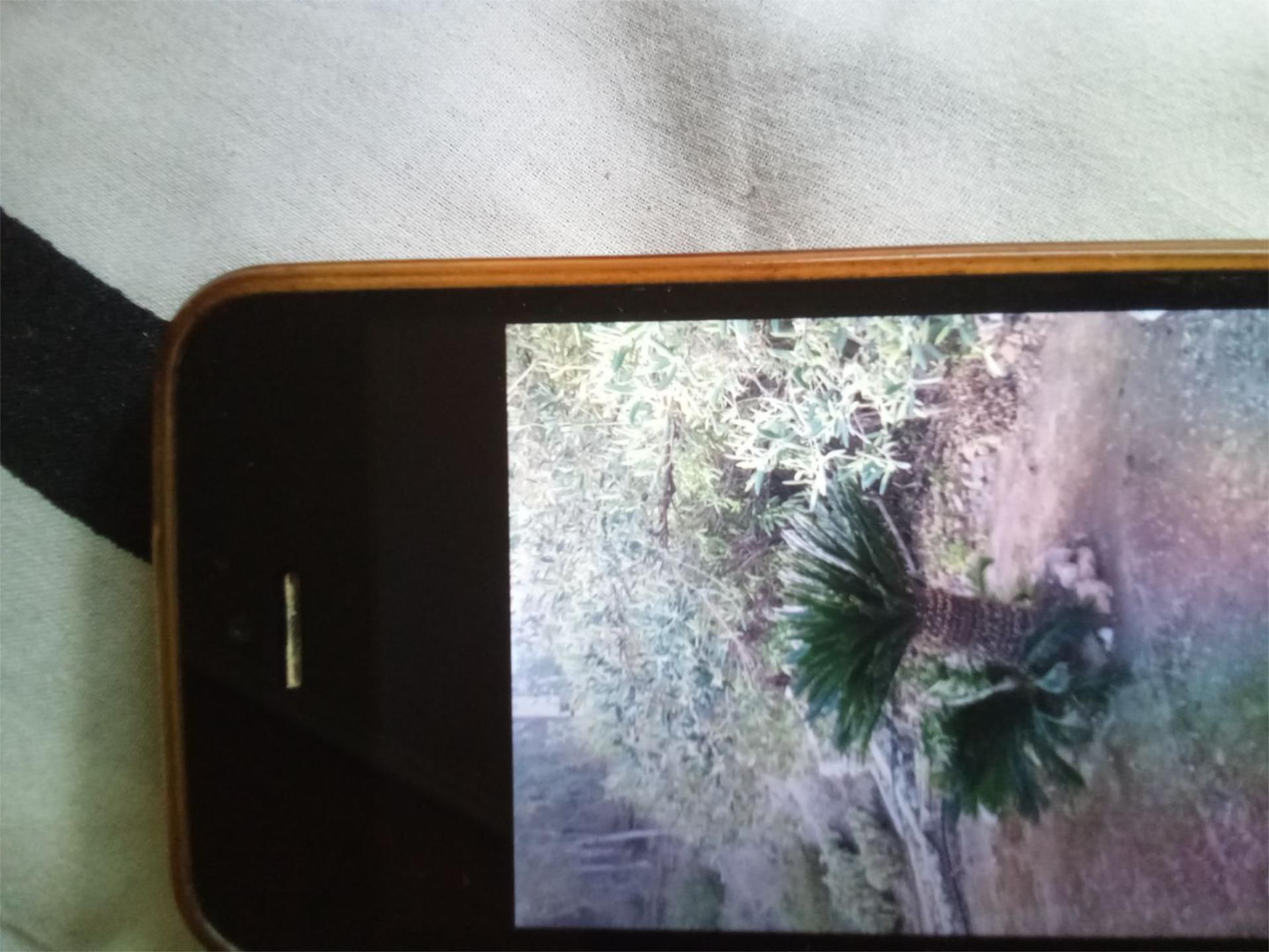 Garden of Flat to rent in Cómpeta  with Air Conditioner, Heating and Private garden