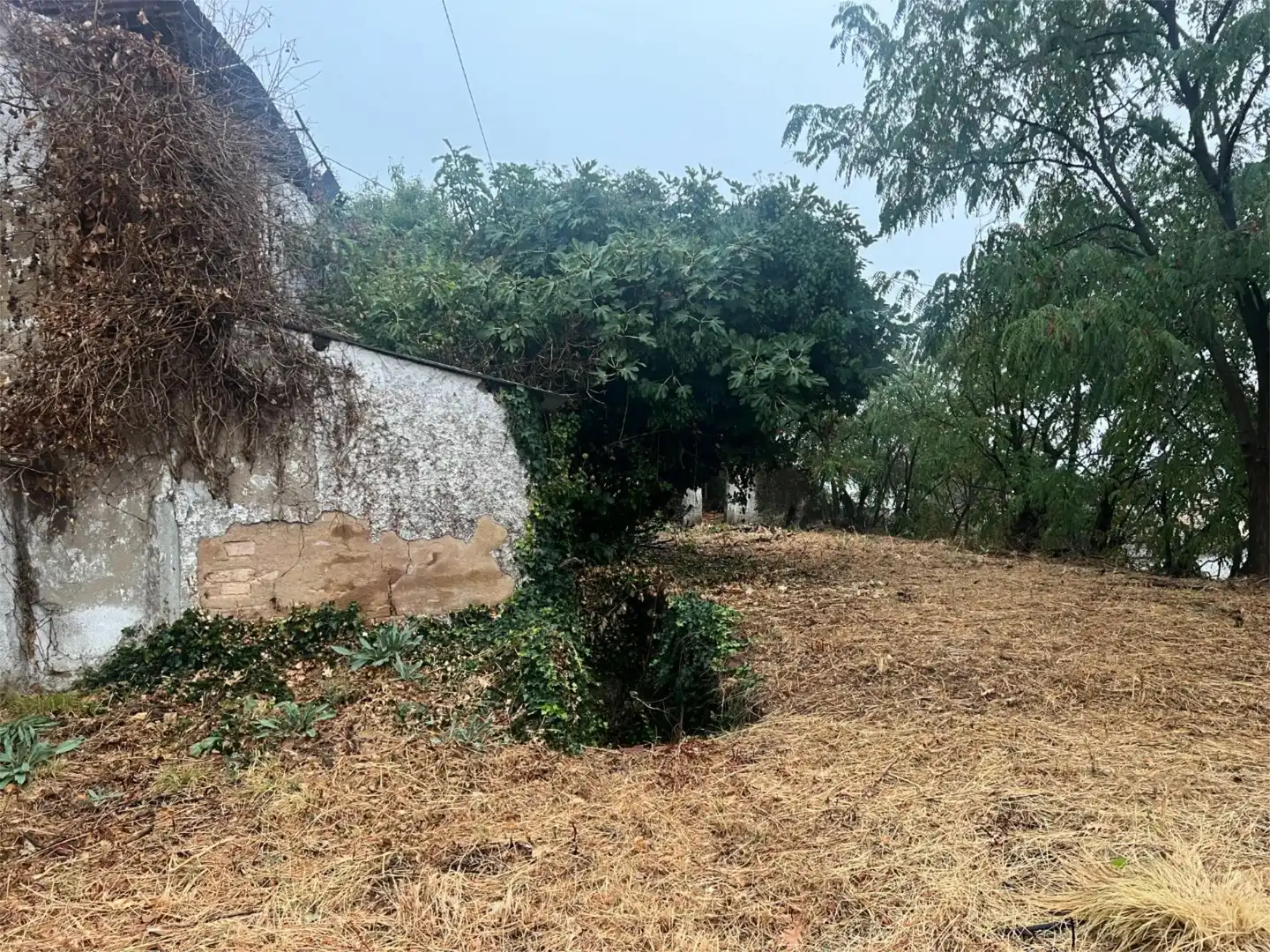 Urbanitzable en venda a Calle Nicolas Maqueda, 3, Poyales del Hoyo Urbanitzable en venda en Poyales del Hoyo