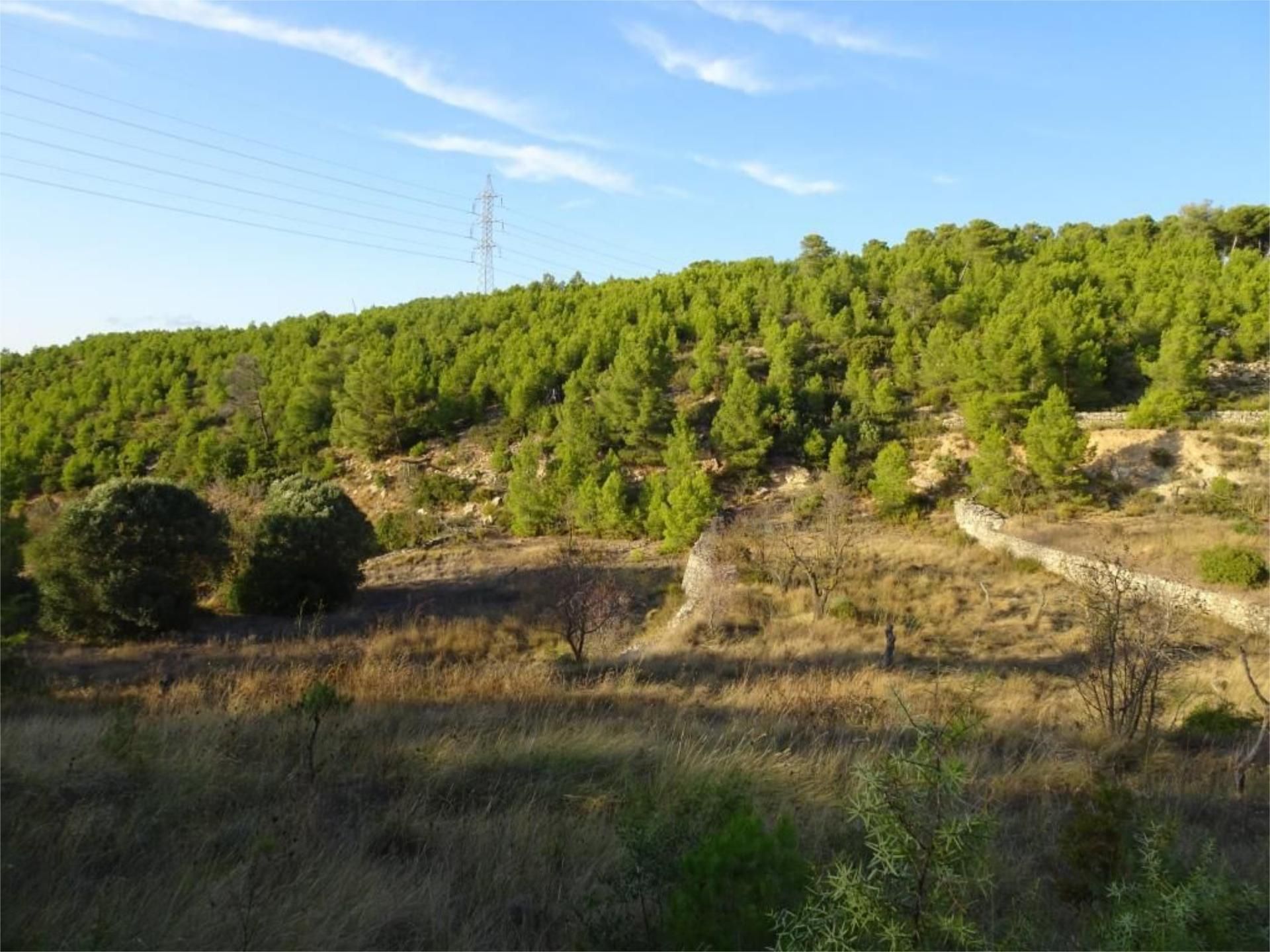 Land for sale in La Fatarella