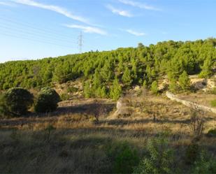 Land for sale in La Fatarella