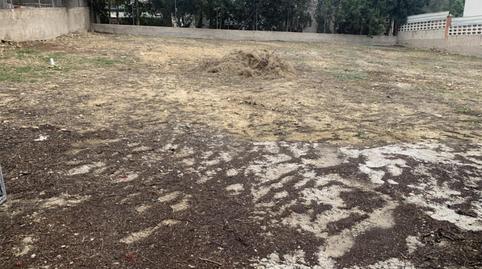 Photo 3 of Planta baja for sale in Calle Los Tilos, 22, Los Vientos- Casa Ros, Murcia