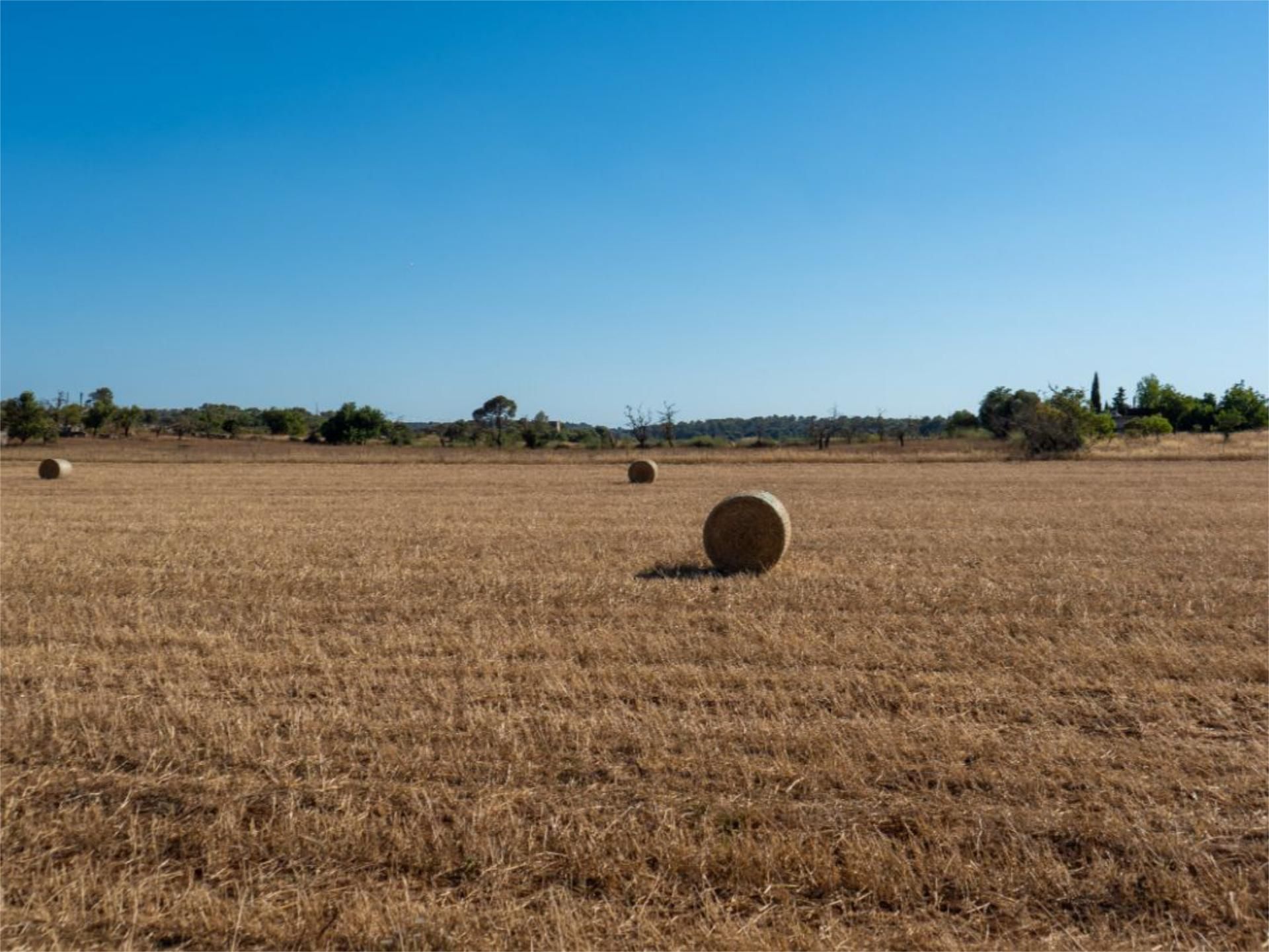 Land for sale in Inca
