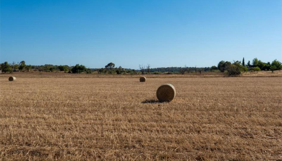 Photo 1 of Land for sale in Zona Periurbana, Illes Balears