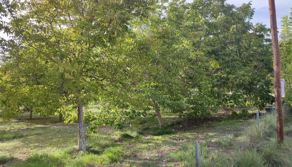 Land for sale in Plaça Numero 20, 257, El Llombo, Valencia - image 1 Photo 1 of Land for sale in Plaça Numero 20, 257, El Llombo, Valencia