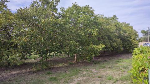 Land for sale in Plaça Numero 20, 257, El Llombo, Valencia - image 2 Photo 2 of Land for sale in Plaça Numero 20, 257, El Llombo, Valencia