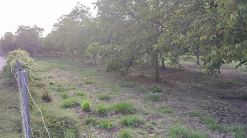 Land for sale in Plaça Numero 20, 257, El Llombo, Valencia - image 3 Photo 3 of Land for sale in Plaça Numero 20, 257, El Llombo, Valencia