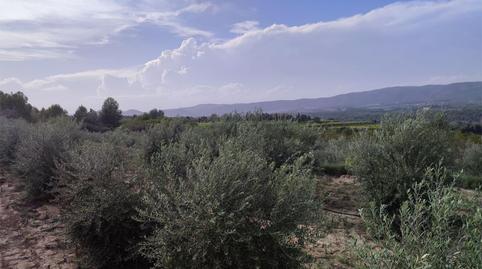 Land for sale in Plaça Numero 20, 257, El Llombo, Valencia - image 4 Photo 4 of Land for sale in Plaça Numero 20, 257, El Llombo, Valencia