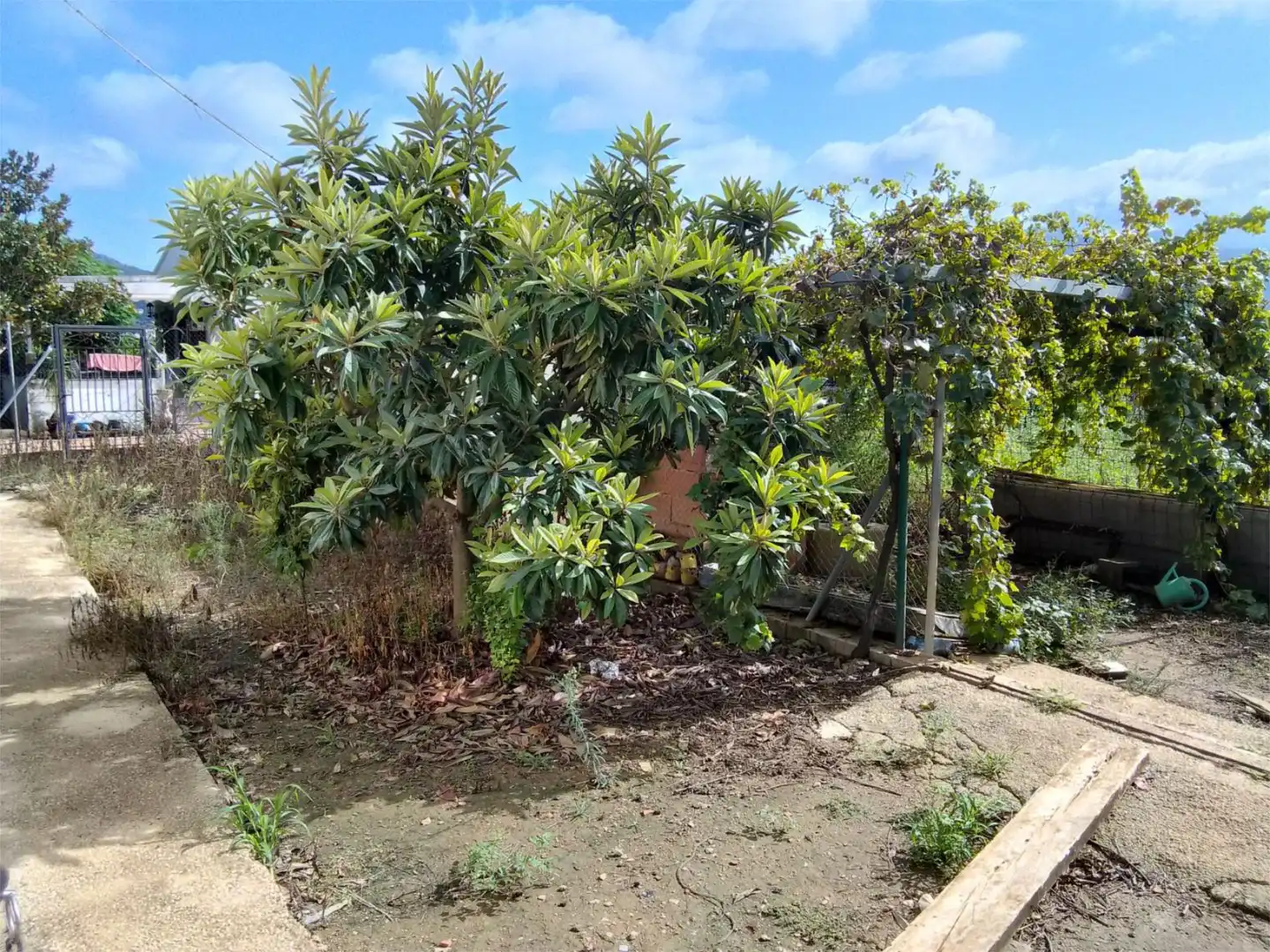 Casa o chalet en venta en Carrer Dénia, 22, Pego Casa o chalet en venta en Pego con Terraza