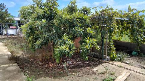 Casa o xalet en venda a Carrer Dénia, 22, Pego, Alicante - imatge 4 Foto 4 de Casa o xalet en venda a Carrer Dénia, 22, Pego, Alicante