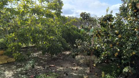 Casa o xalet en venda a Carrer Dénia, 22, Pego, Alicante - imatge 5 Foto 5 de Casa o xalet en venda a Carrer Dénia, 22, Pego, Alicante