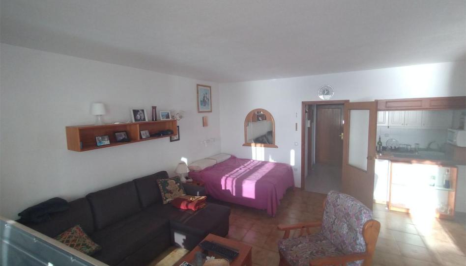 Foto 1 de Piso de alquiler en Avenida Berlín, 51, La Matanza de Acentejo, Santa Cruz de Tenerife