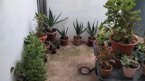 Single-family semi-detached for sale in Puebla del Maestre, Badajoz - image 2 Photo 2 of Single-family semi-detached for sale in Puebla del Maestre, Badajoz