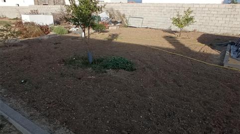 Foto 3 de Finca rústica en venda a Camino del Gamo, 7, Las Lagunas - Campano, Cádiz