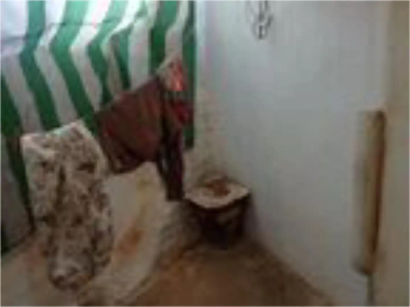 Wohnung zum Verkauf in Calle Camino de Ibros, 11, Lupión Badezimmer von Wohnung zum Verkauf in Lupión mit Klimaanlage, Heizung und Privatgarten