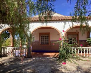 Vista exterior de Casa o xalet en venda en Puente Genil amb Jardí privat, Terrassa i Piscina