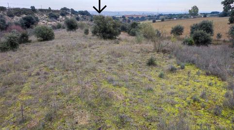 Photo 2 of Land for sale in Carretera de Colmenar, 6134, San Agustín del Guadalix pueblo, San Agustín del Guadalix