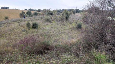 Photo 3 of Land for sale in Carretera de Colmenar, 6134, San Agustín del Guadalix pueblo, San Agustín del Guadalix