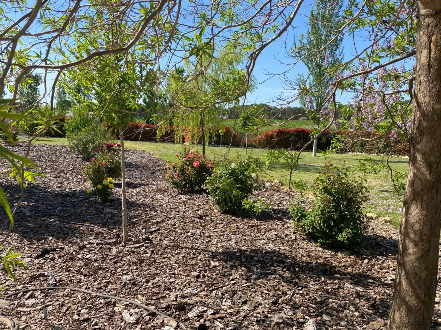 Flat for sale in Caravaca de la Cruz Garden of Flat for sale in Caravaca de la Cruz with Air Conditioner, Heating and Private garden