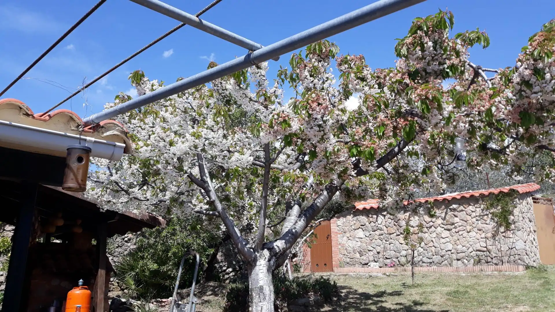 Terreno en venta en Jarandilla de la Vera Jardín de Terreno en venta en Jarandilla de la Vera