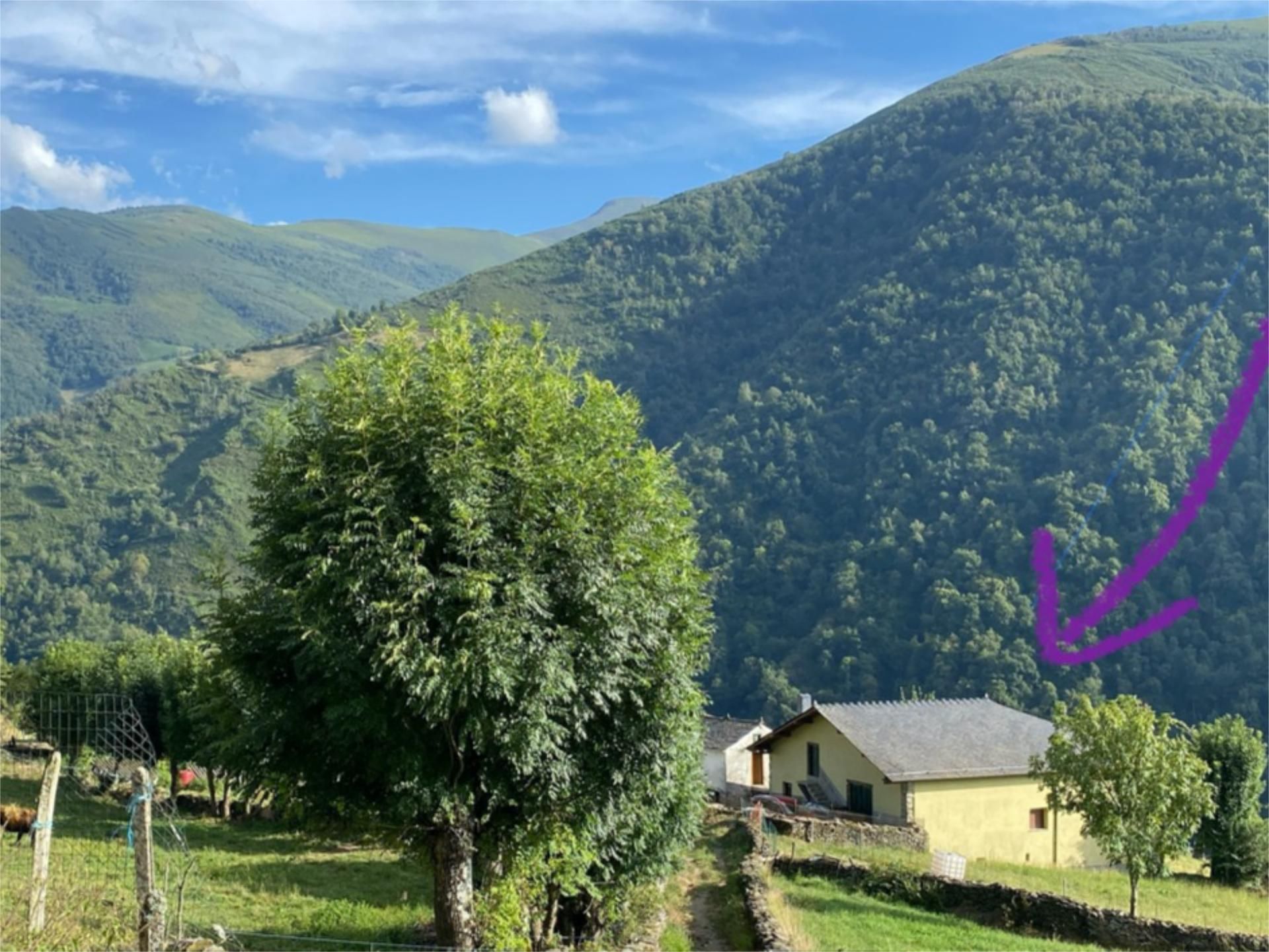 Exterior view of House or chalet for sale in Cangas del Narcea  with Terrace