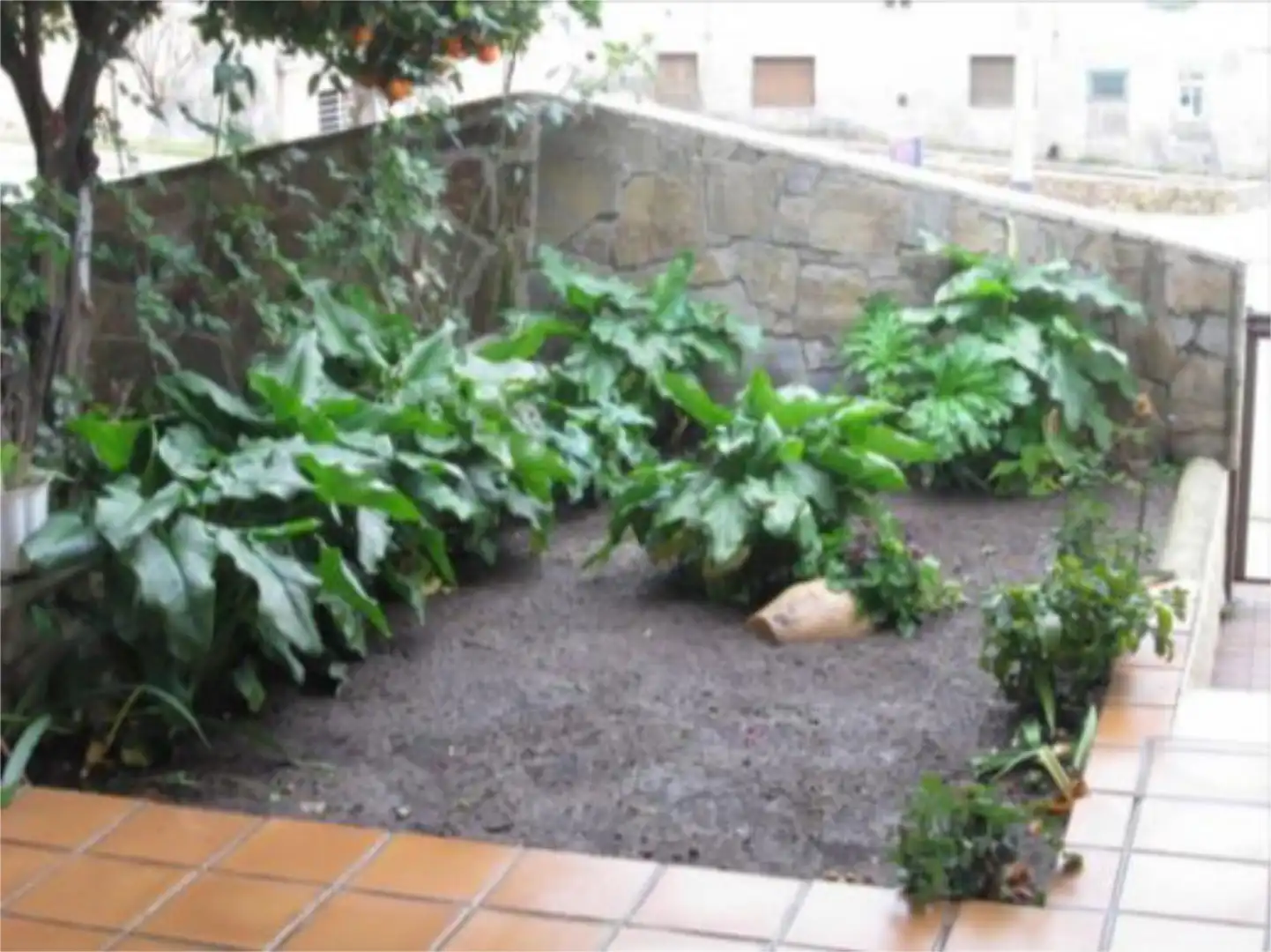 Garden of Detached homes for sale in Madrigal de la Vera  with Air Conditioner, Heating and Private garden