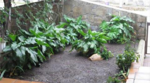 Single-family semi-detached for sale in Calle Almazara, 3, Madrigal de la Vera, Cáceres - image 4 Photo 4 of Single-family semi-detached for sale in Calle Almazara, 3, Madrigal de la Vera, Cáceres