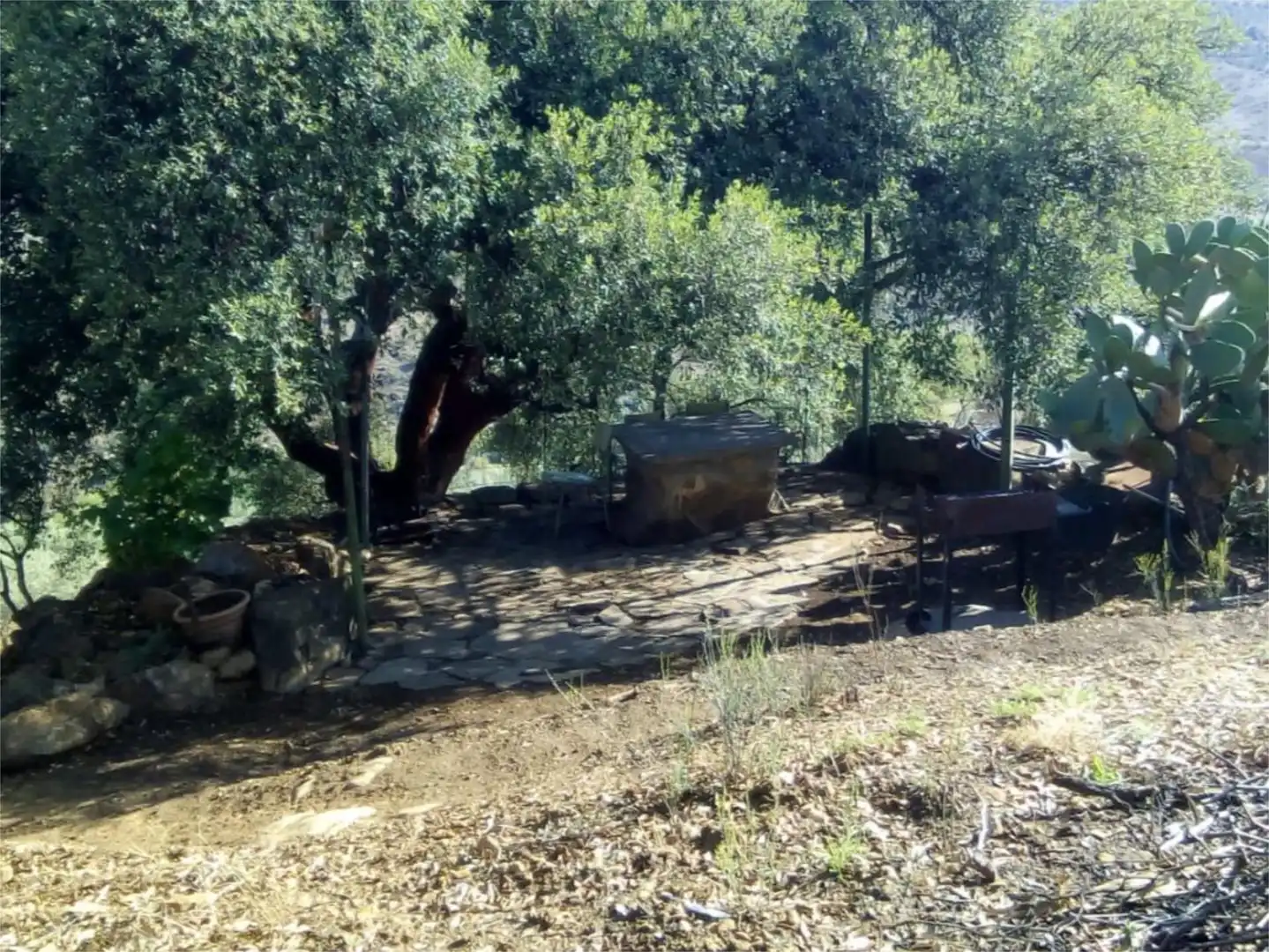 Finca rústica en venda a Avenida la Ballesta, 2, Villanueva de la Concepción