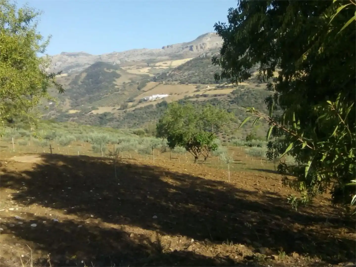 Finca rústica en venda a Avenida la Ballesta, 2, Villanueva de la Concepción