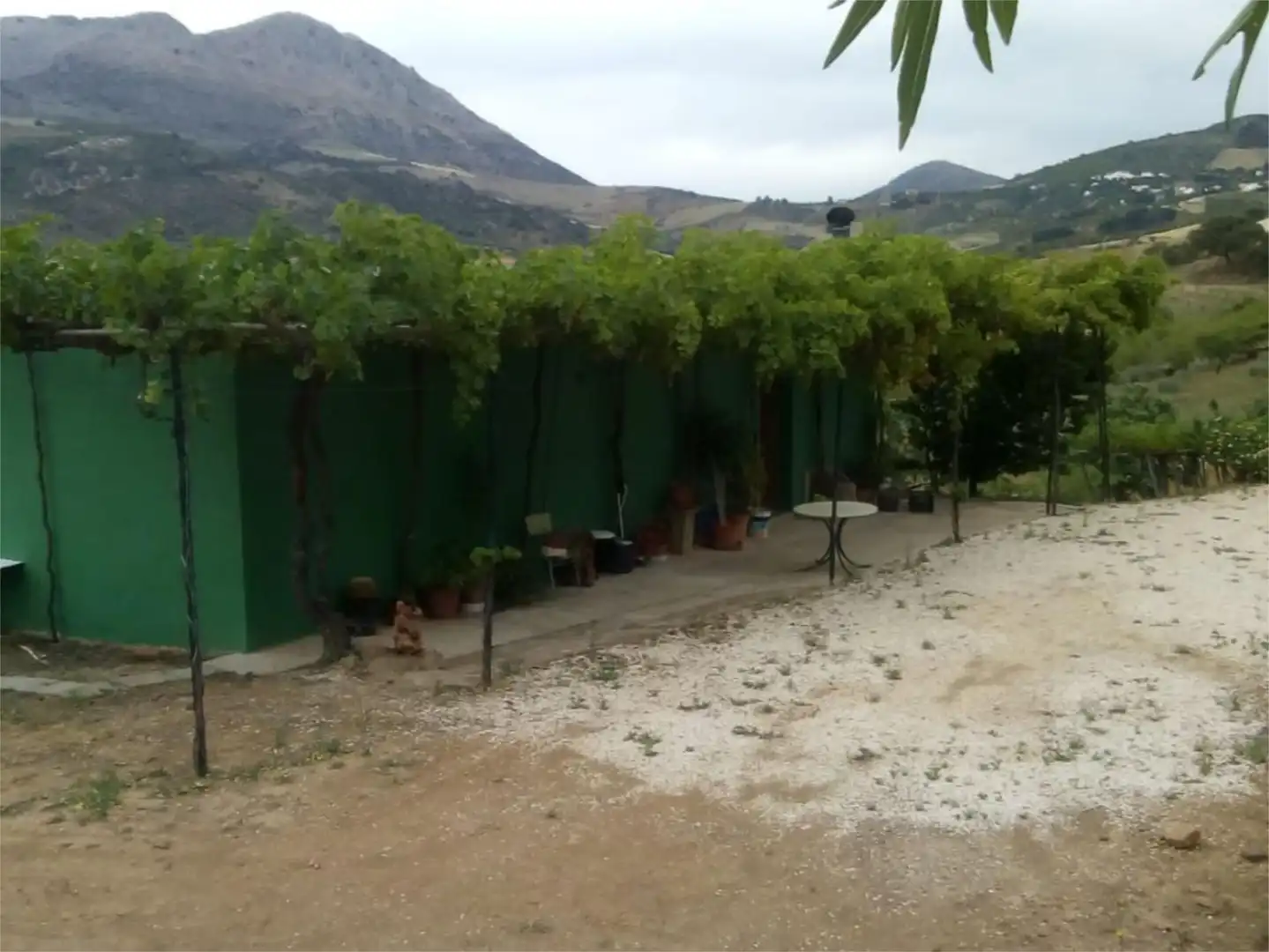 Finca rústica en venda a Avenida la Ballesta, 2, Villanueva de la Concepción