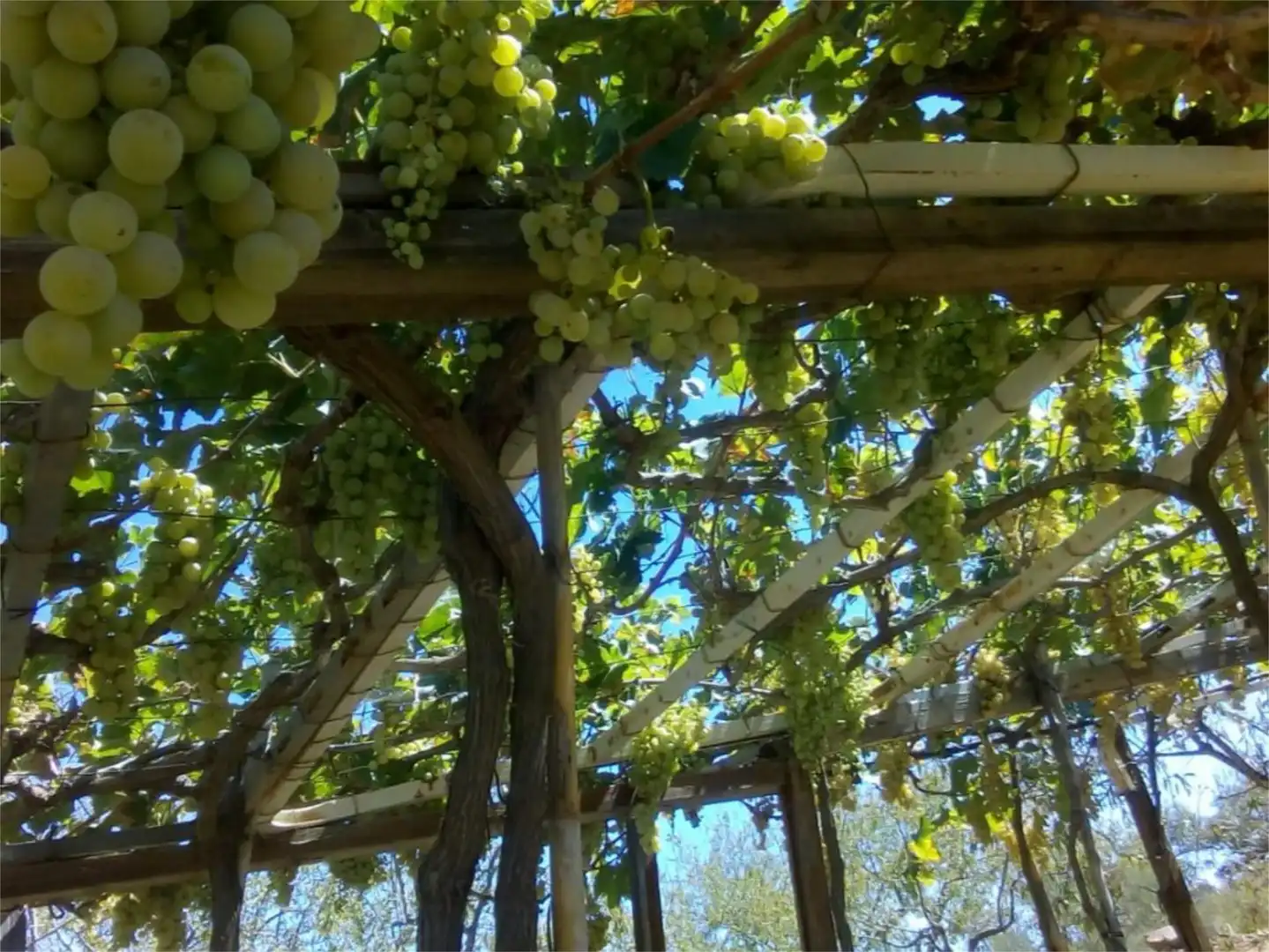 Finca rústica en venda a Avenida la Ballesta, 2, Villanueva de la Concepción