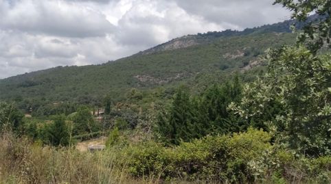 Foto 4 de Finca rústica en venda a Carretera a Talaveruela de la Vera, 14, Talaveruela de la Vera, Cáceres