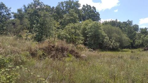 Foto 5 de Finca rústica en venda a Carretera a Talaveruela de la Vera, 14, Talaveruela de la Vera, Cáceres