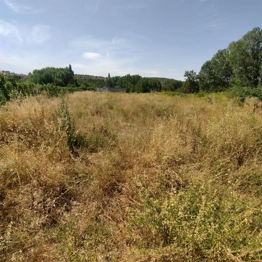 Non-constructible Land for sale in Carretera de Turegano, 14, Caballar Non-constructible Land for sale in Caballar