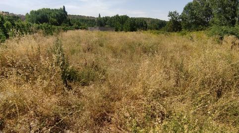 Non-constructible Land for sale in Carretera de Turegano, 14, Caballar, Segovia - image 4 Photo 4 of Non-constructible Land for sale in Carretera de Turegano, 14, Caballar, Segovia