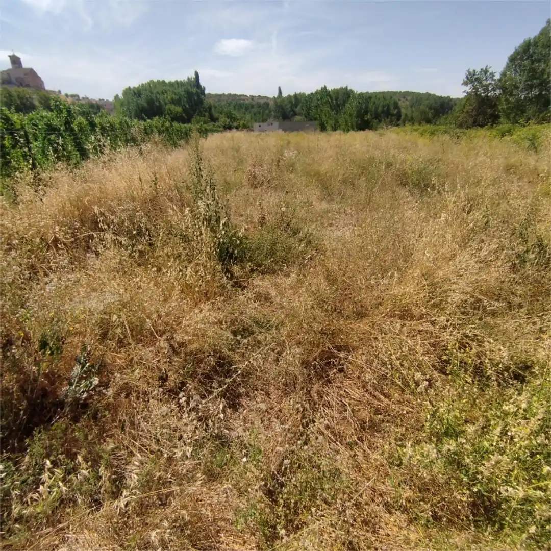 Non-constructible Land for sale in Carretera de Turegano, 14, Caballar Non-constructible Land for sale in Caballar