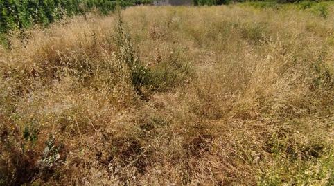 Non-constructible Land for sale in Carretera de Turegano, 14, Caballar, Segovia - image 3 Photo 3 of Non-constructible Land for sale in Carretera de Turegano, 14, Caballar, Segovia