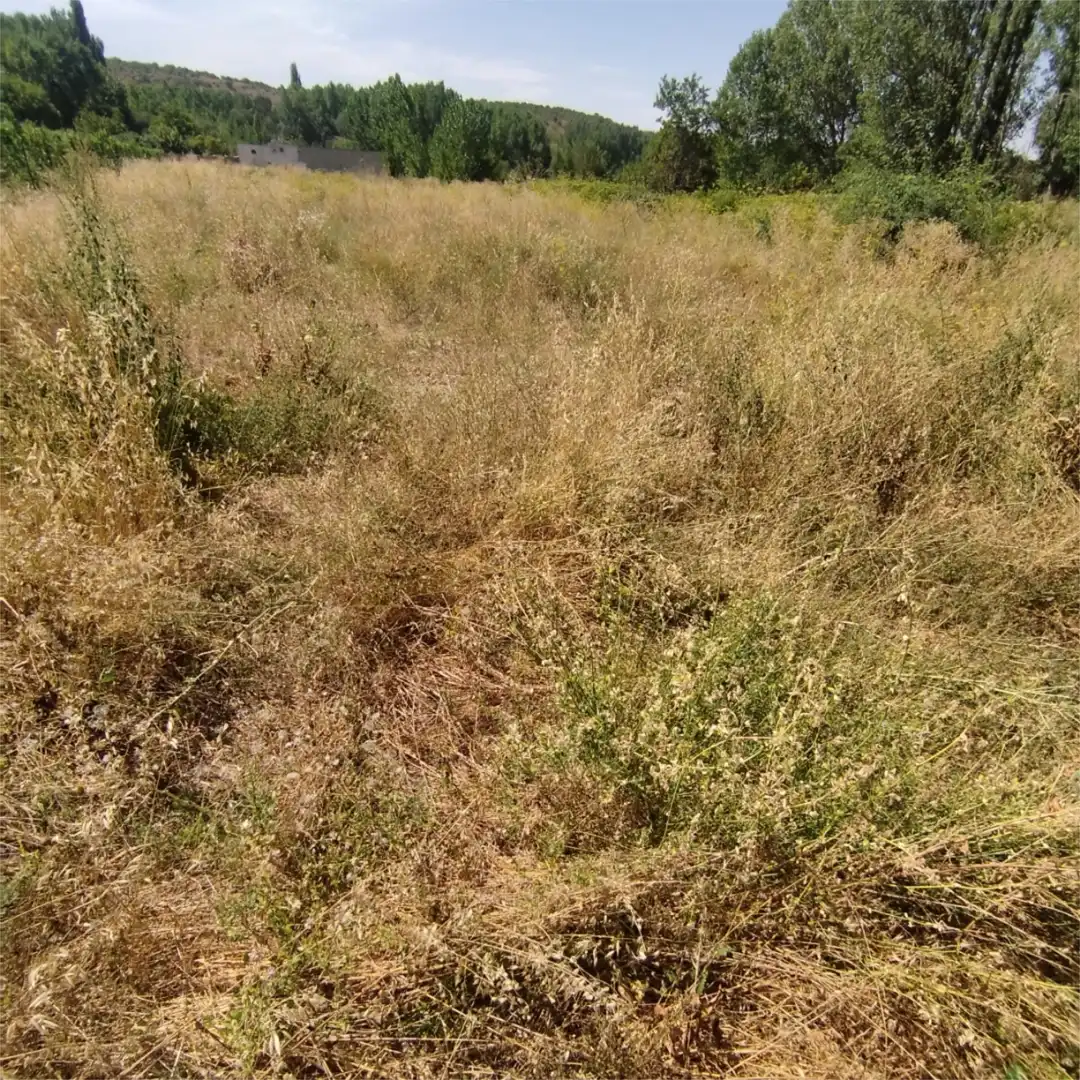Non-constructible Land for sale in Carretera de Turegano, 14, Caballar Non-constructible Land for sale in Caballar