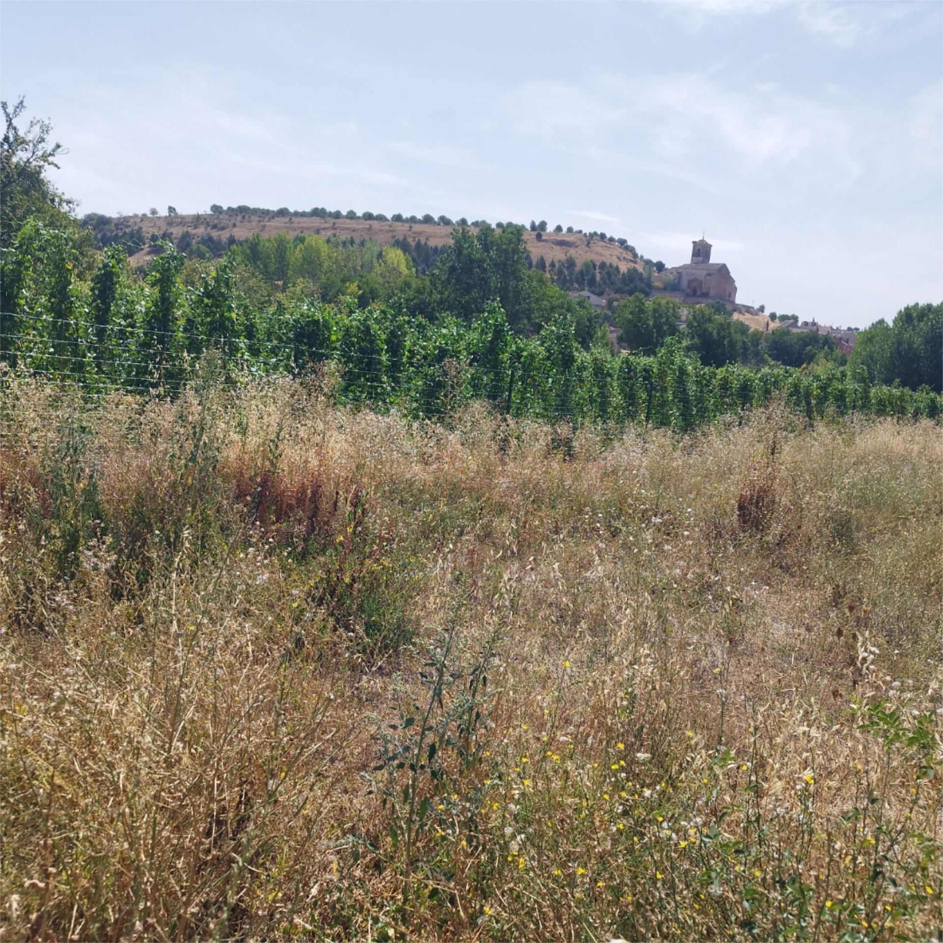 Non-constructible Land for sale in Caballar